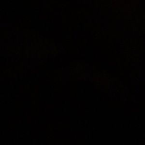 Meet your Posher, Isis